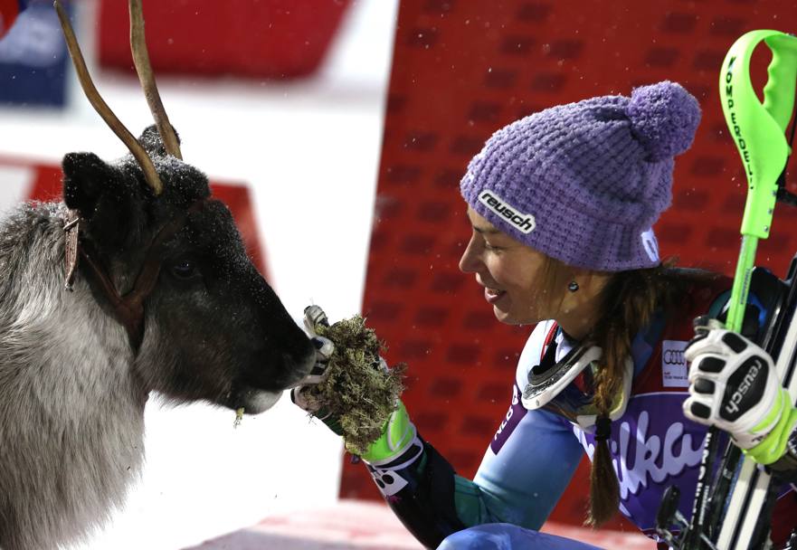 Tina Maze con la renna che, tradizionalmente viene data in premio ai vincitori dello slalom di Levi. La slovena ha deciso di chiamarlo Victor